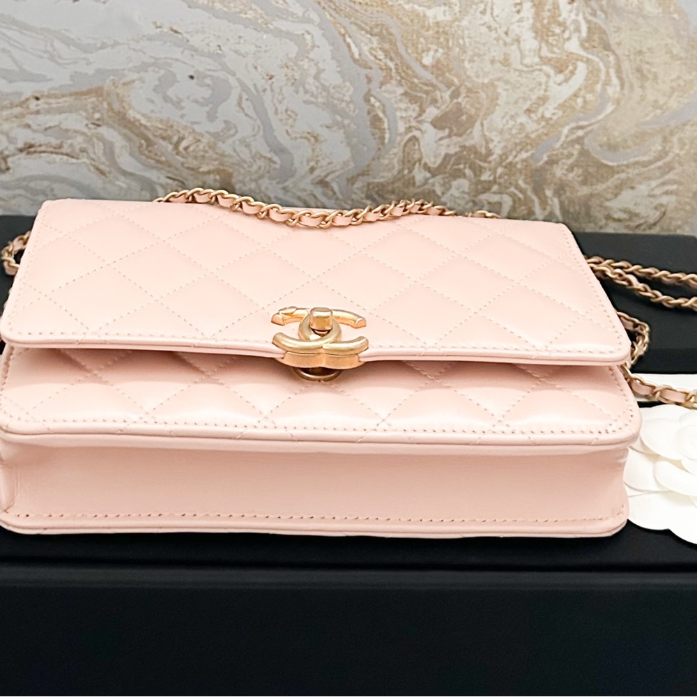 Chanel Calfskin Quilted Perfect Fit Wallet On Chain Crossbody Bag - Picture 5 of 14